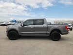 2023 F-150 Thumbnail 4