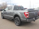 2023 F-150 Thumbnail 5