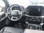 2023 F-150 Thumbnail 12