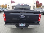 2023 F-150 Thumbnail 4