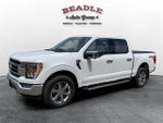 2023 F-150 Thumbnail 1