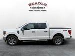 2023 F-150 Thumbnail 3