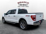 2023 F-150 Thumbnail 4