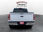2023 F-150 Thumbnail 5