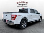 2023 F-150 Thumbnail 7
