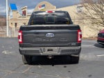 2023 F-150 Thumbnail 6
