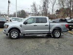 2023 F-150 Thumbnail 4
