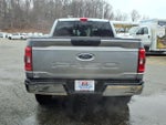 2023 F-150 Thumbnail 6