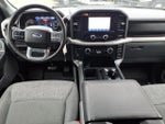 2023 F-150 Thumbnail 12
