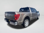 2023 F-150 Thumbnail 21