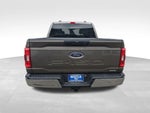 2023 F-150 Thumbnail 13