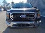 2023 F-150 Thumbnail 8