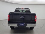 2023 F-150 Thumbnail 6