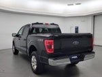 2023 F-150 Thumbnail 7