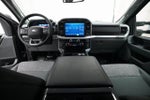2023 F-150 Thumbnail 5