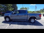 2023 F-150 Thumbnail 5