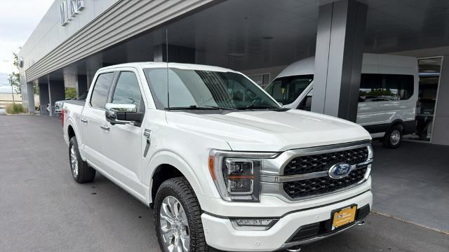 Preowned 2023 Ford F-150 XL for Sale