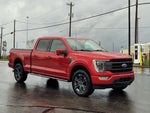 2023 F-150 Thumbnail 1