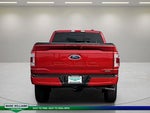 2023 F-150 Thumbnail 7