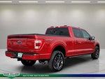 2023 F-150 Thumbnail 8