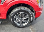2023 F-150 Thumbnail 11