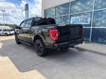 2023 F-150 Thumbnail 5