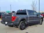 2023 F-150 Thumbnail 3