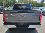 2023 F-150 Thumbnail 12