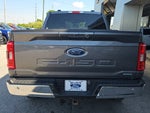 2023 F-150 Thumbnail 4
