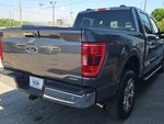 2023 F-150 Thumbnail 5