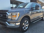 2023 F-150 Thumbnail 8