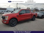 2023 F-150 Thumbnail 1