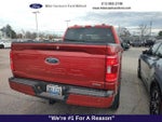 2023 F-150 Thumbnail 4