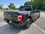 2023 F-150 Thumbnail 11