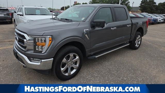 Preowned 2023 Ford F-150 XL for Sale