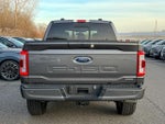 2023 F-150 Thumbnail 5