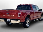 2023 F-150 Thumbnail 13