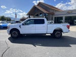 2023 F-150 Thumbnail 2