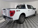 2023 F-150 Thumbnail 7