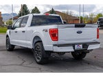 2023 F-150 Thumbnail 5