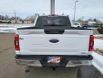 2023 F-150 Thumbnail 5