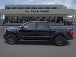 2023 F-150 Thumbnail 6