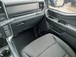 2023 F-150 Thumbnail 18