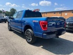 2023 F-150 Thumbnail 6
