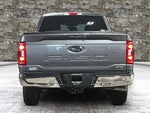 2023 F-150 Thumbnail 5