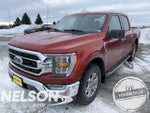 2023 F-150 Thumbnail 1