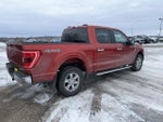 2023 F-150 Thumbnail 5