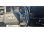 2023 F-150 Thumbnail 17