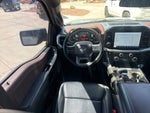 2021 F-150 Thumbnail 14
