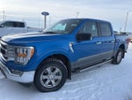 2021 F-150 Thumbnail 5